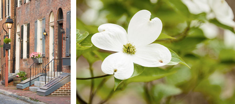 The outside of a brick building with grey shutters & a separate image of a white flower.